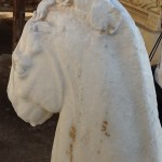 IMG_2030