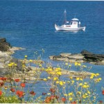 PAROS REVERIES